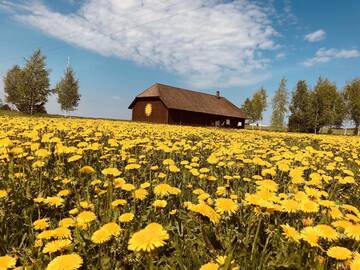 Фотографии Лоджи Voose Päikesekodu г. Voose (Эстония) №1 Фото Лоджи Voose Päikesekodu г. Voose 1